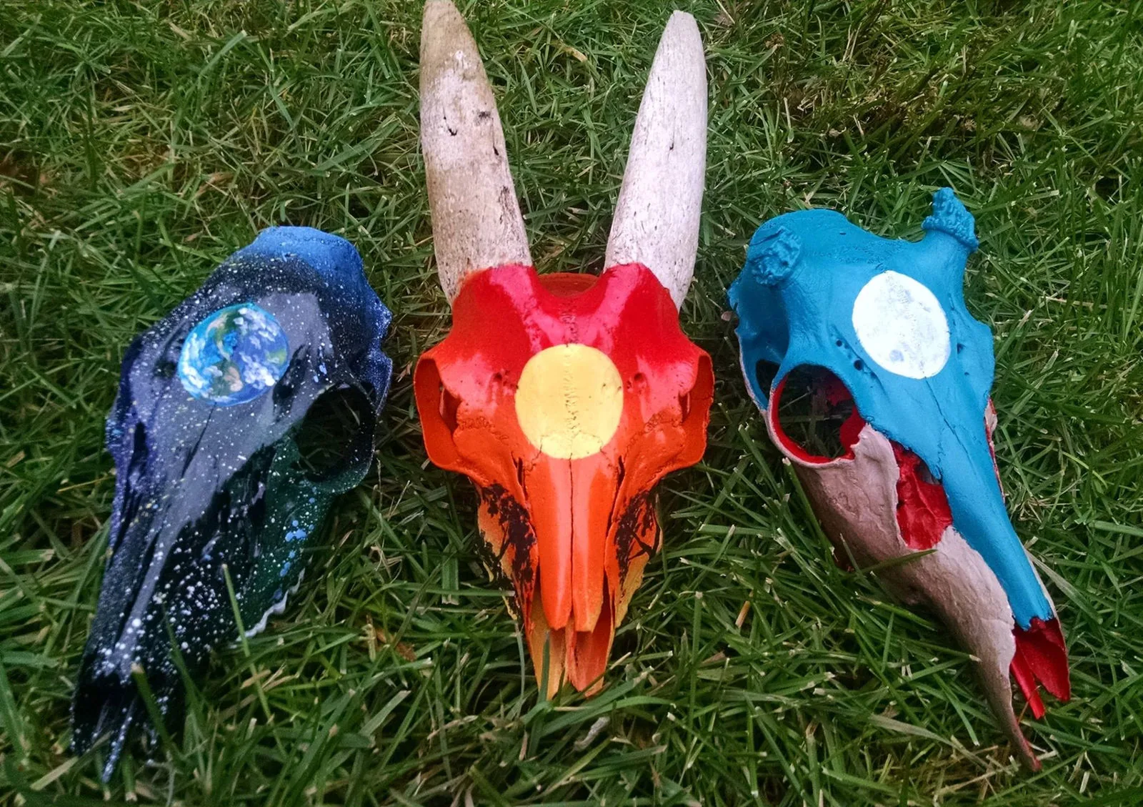 Three animal skulls painted dark blue, red and light blue, lying on grass