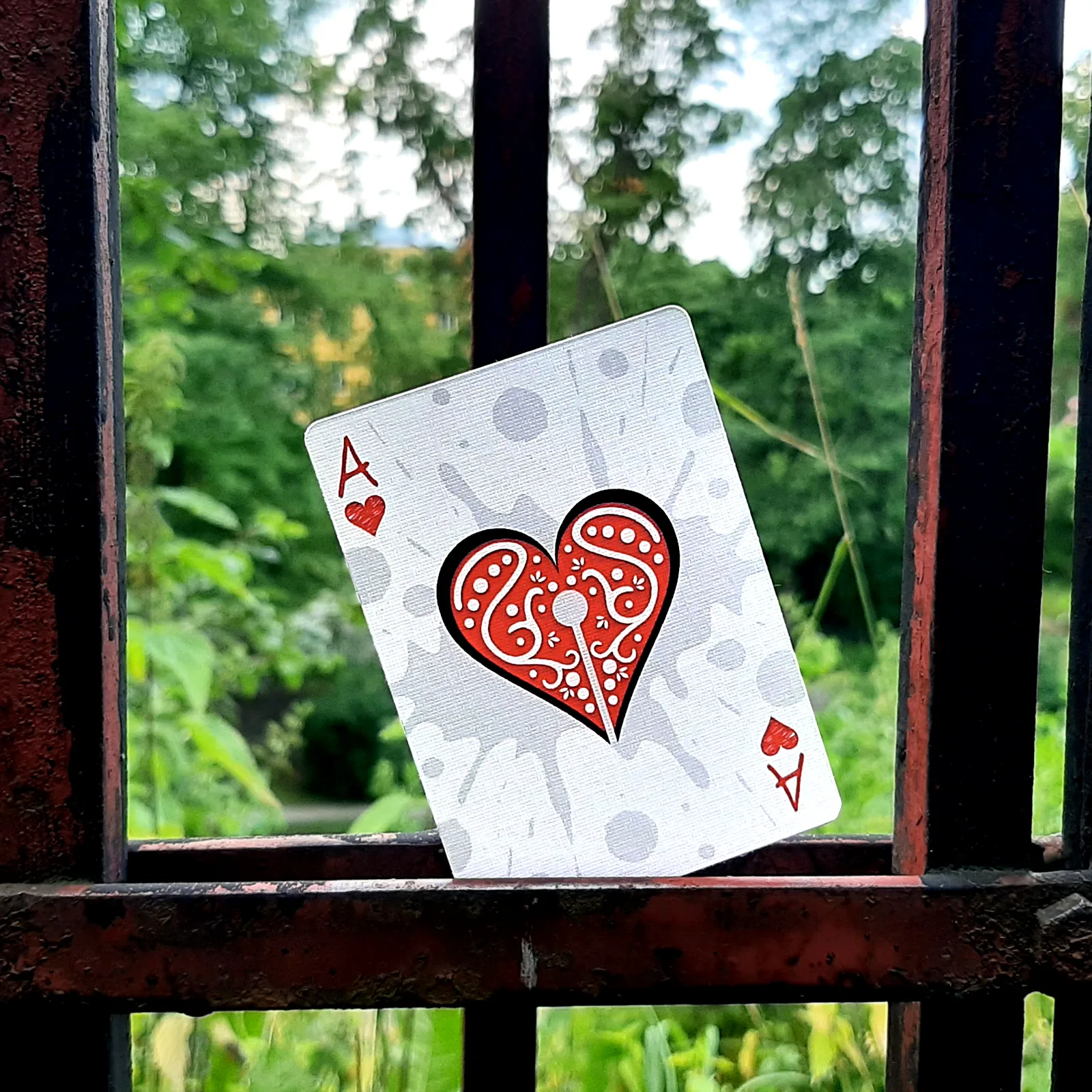 Inkwell ace of hearts held in front of a window with greenery